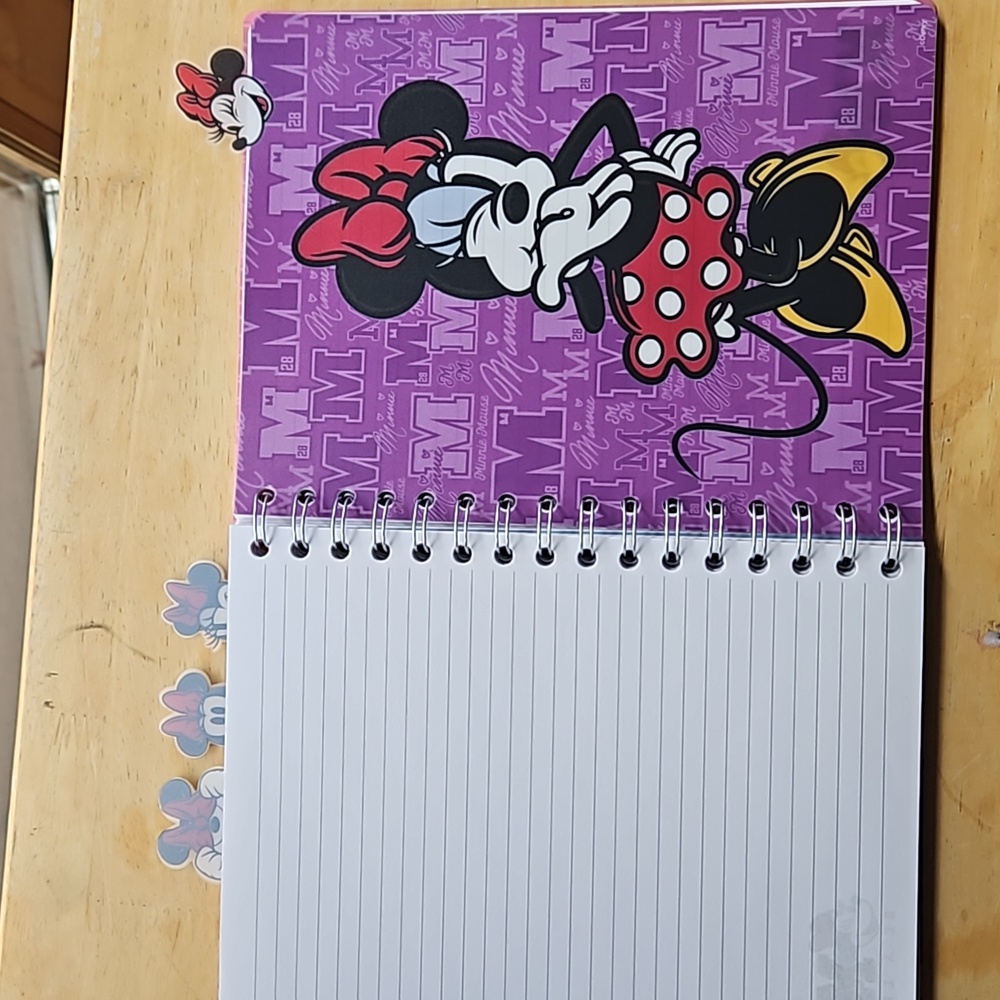 MINNIE MOUSE JOURNAL - Picture 6 of 12